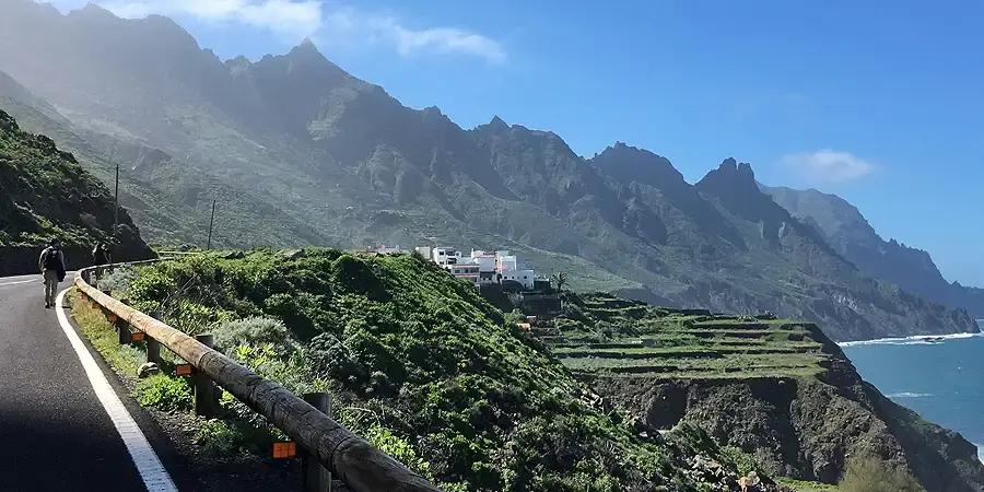 جزایر قناری