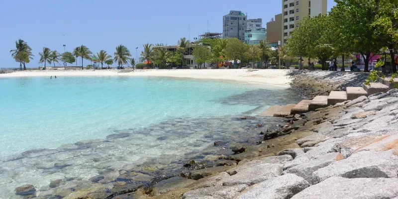 هزینه تور ماله.webp